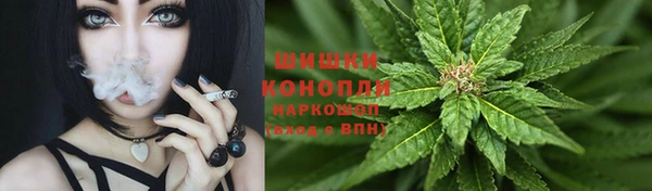 амф Осташков