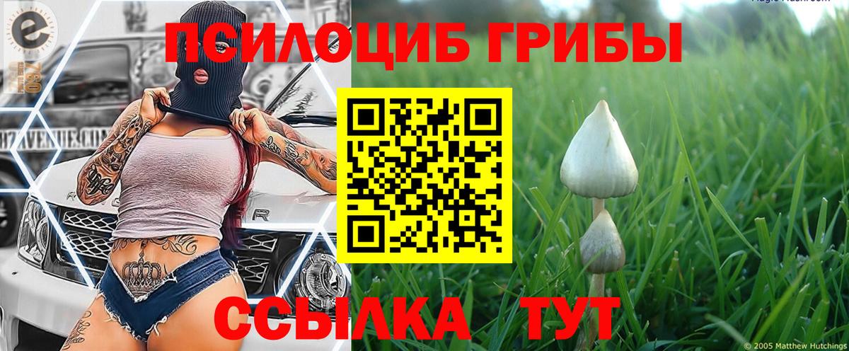 Северодвинск  Галлюциногенные грибы Cubensis  Вход с VPN 